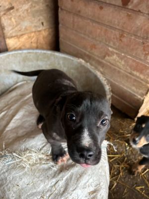 592695418 4260818810863364 3071771489719230748 n