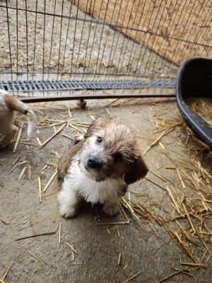 592747435 2119823998550987 688557420293129561 n