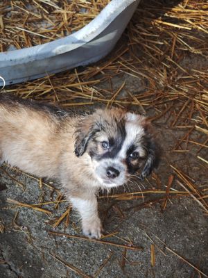 592750680 2119812788552108 1873535795976713030 n