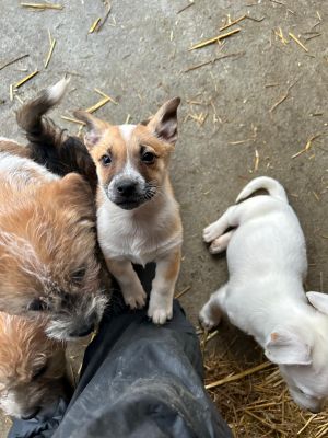 592762820 2119818631884857 8341656205597085354 n