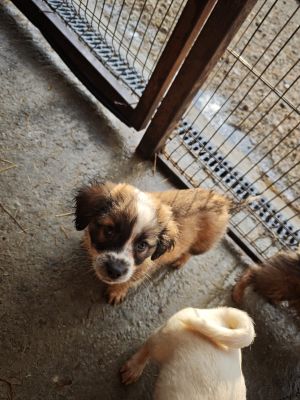 592829340 2119813328552054 4163344092538806880 n