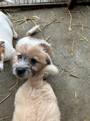 592831222 2119798275220226 8093699896748384878 n