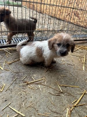 592884993 2119798361886884 140993584238513731 n