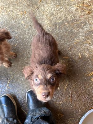 592893562 25360586396915281 1485935511559315942 n