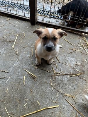 592898019 2119818705218183 2657694855974049004 n