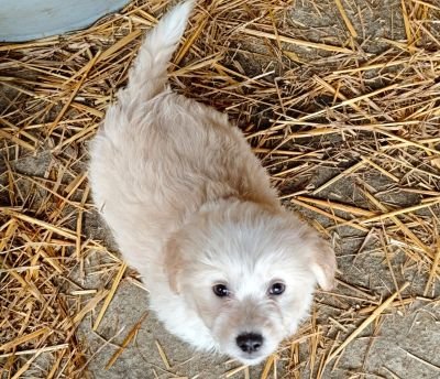 592898024 2119804498552937 4040211301176858124 n