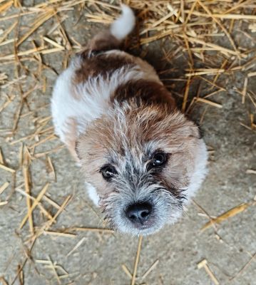 592898209 2119798165220237 3550330906335005250 n