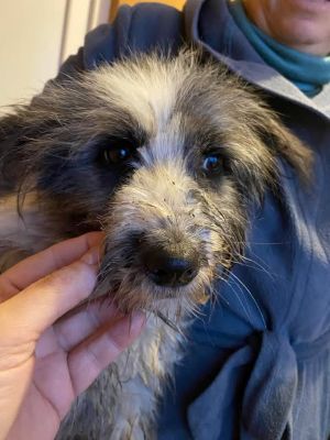 592908657 25381828111457776 1426140622626153009 n