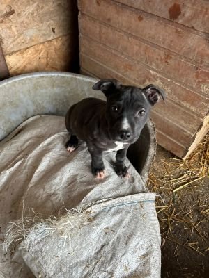 592921564 4260818834196695 3759556064141643311 n