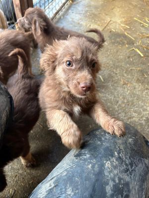 592943887 25360526100254644 8835982593857786683 n