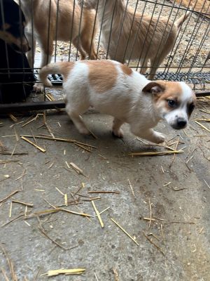 592947152 2693198497731302 5771121515412904887 n