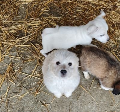 592963589 2119804435219610 2846071274216992459 n