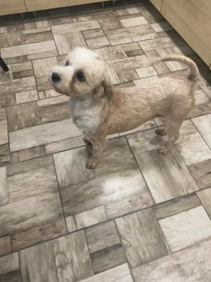 592970328 1413599393672990 6057232151679902732 n