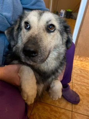 592973198 25383967201243867 5383030928512100721 n