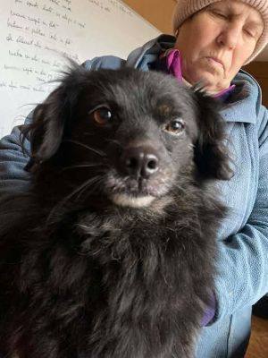 593414615 25383827611257826 801806183090900057 n