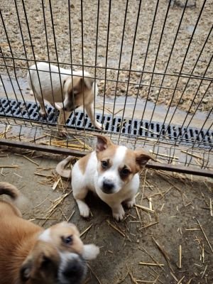 593424687 2693198211064664 3817555669892646153 n