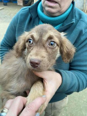 593451670 2034679397330867 1391171569668527751 n