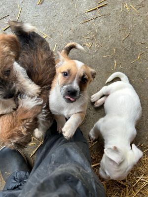 593462690 2119818791884841 7964003060572711903 n