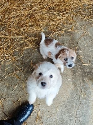 593470724 2119804538552933 457238599278449086 n