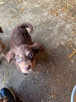 593491189 25360586593581928 4759863072241024936 n