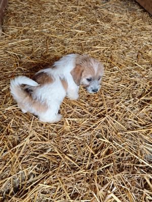 593501523 2119798261886894 1405408215618506058 n