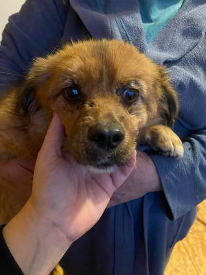 593543924 25381933458113908 2896888918297156435 n