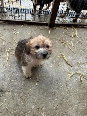 593562012 2119824078550979 1470832480661134158 n