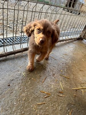 593574243 25360550843585503 853036189421686446 n