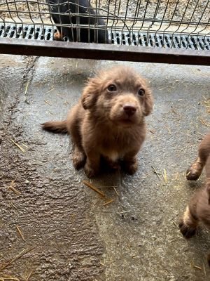 593580092 25360526356921285 8952725197231894531 n