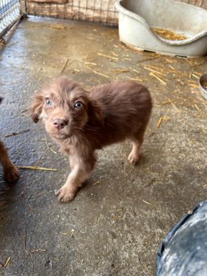 593588463 25360555016918419 5939440857275790826 n