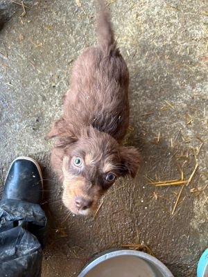 593588851 25360586390248615 140898176859617276 n