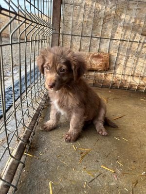 593643721 25360525836921337 2453096013029693200 n