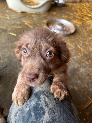 593653922 25360525930254661 2637461391110708029 n