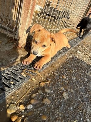 593678923 4260817890863456 8884332784020788695 n