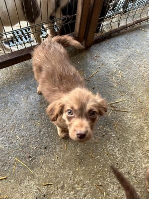 593687191 25360549993585588 8773254174275235747 n