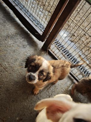 593719293 2119813345218719 6447607126185567510 n