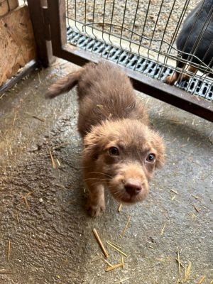 593796646 25360550370252217 4093293291031723755 n