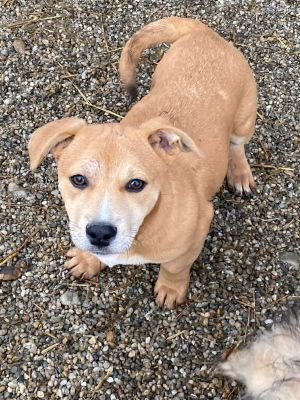 593927546 3846704932296556 6204776661474123920 n