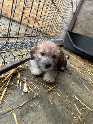 593951091 2119823871884333 5687674047834008494 n