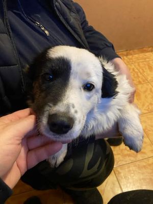 593952151 25381767358130518 3411849130253706842 n