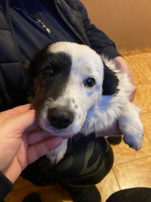 593952151 25381767984797122 7747336298094701080 n