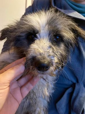 593963890 25381827924791128 6765902529632220882 n