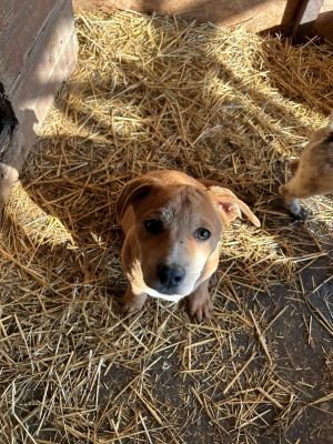 593998630 4260817850863460 1452966743151935935 n