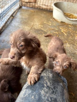 594001324 25360525766921344 1334810765596686465 n