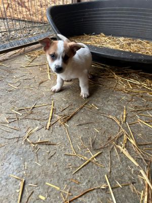 594014715 2693198354397983 6969761761008704657 n