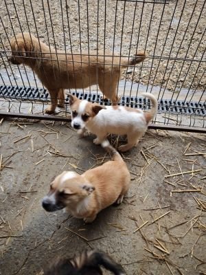 594021339 2693198331064652 1758622505670005700 n