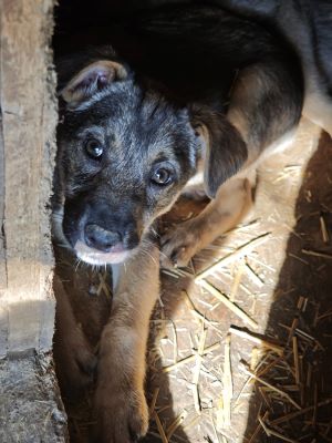 594025370 2693194567731695 5061482028869320549 n