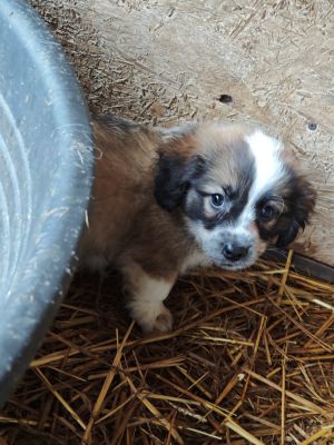 594052101 2119813548552032 5442701694862355837 n