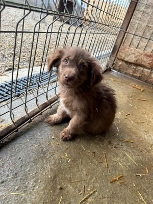 594067541 25360525820254672 7198919502549145793 n