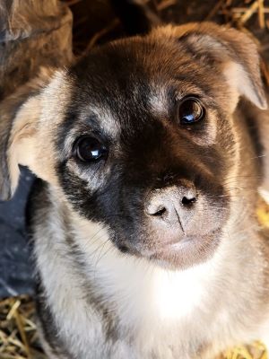 594068163 2693190871065398 4229040996400221130 n